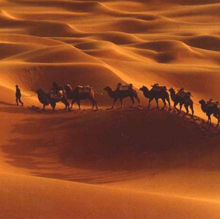 西安建設(shè)絲綢之路經(jīng)濟(jì)帶（新起點(diǎn)）戰(zhàn)略規(guī)劃國(guó)際招標(biāo)代理